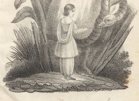 Девочка и змея. Иллюстрация в книге