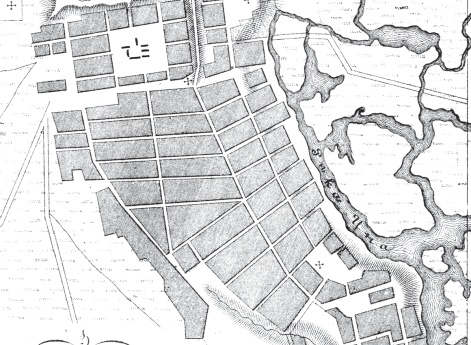 План города Тамбова 1876 года