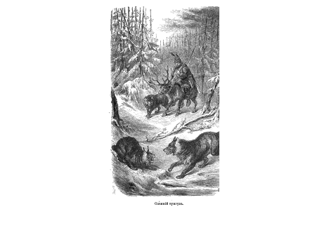 Оленний тунгуз.