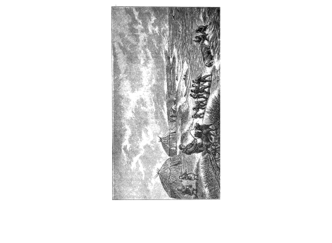 Туземцы нп острове Колючий вытаскивают моржа.