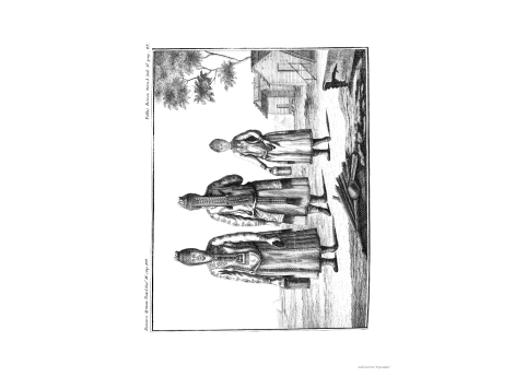 Том I. Таб. IV. стр.137