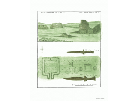 Том II. Таб. IX. стр.501