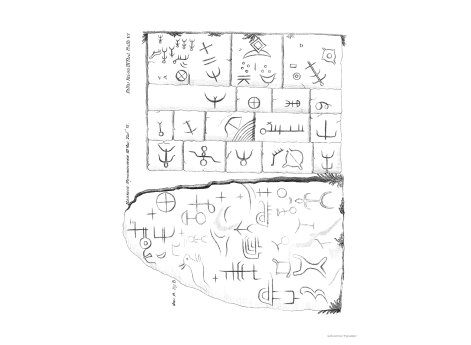 Том III. Таб.VI.