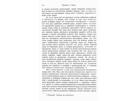 "Янгада" бразилльцев.