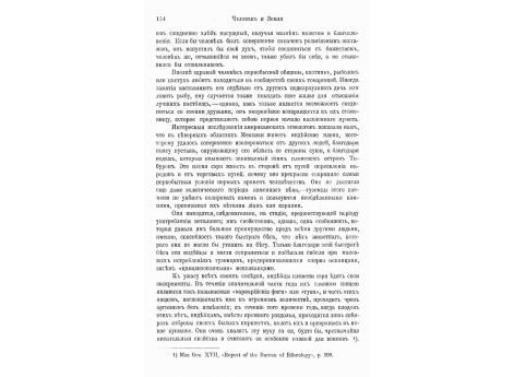 Обезьяна-пастух в посту Карно, в экваториальной Африке.