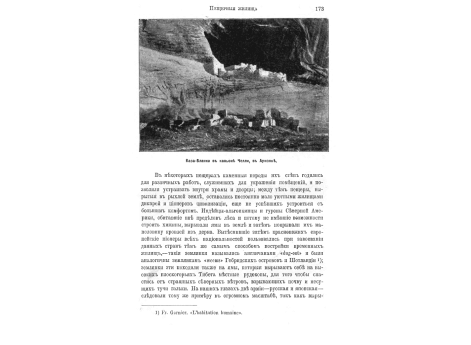 Хижина из костей кита на крайнем севере. 