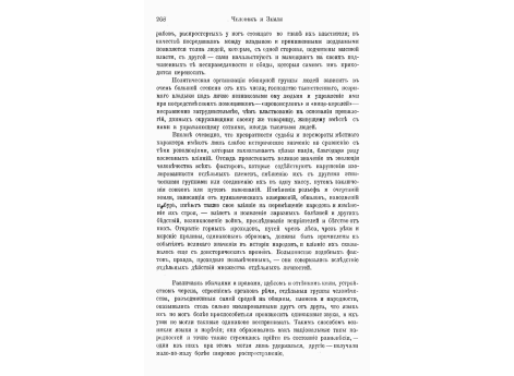 Изображения животных в Комбарелльской пещере.