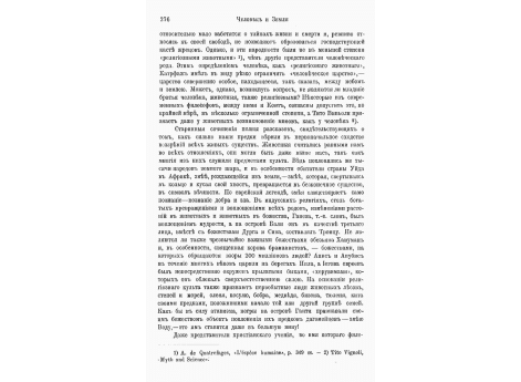 Арабское пастушеское племя, обитающее в степи.