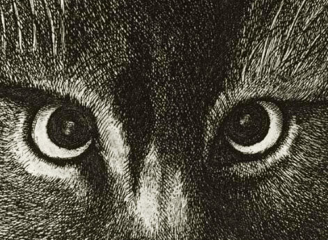 Подлинное изображение кота Великого князя Московского Алексея Михайловича