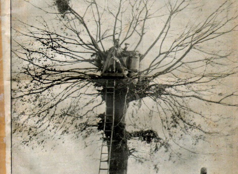 Наблюдательная вышка черногорцев под Скутари. На вышке пор. Дрекалович, окончивший в 1911 году Михайловское артиллерийское училище, наблюдает за действием его мортирной батареи.