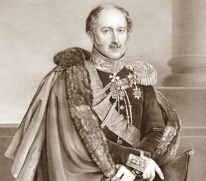 Изъявляют искреннее сожаление свое, о постигшем его расстройстве ума, которое одно могло быть причиною написания подобных нелепостей