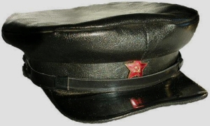 Допрос Ф. А. Степуна