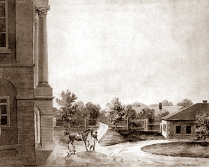 Какие книги имеем мы от наших богословов, философов, математиков, физиков, химиков, медиков?