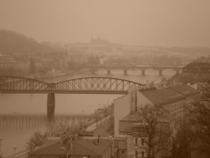 Если бы Вы видели всю эту рычащую, кричащую и свистящую толпу, Вы бы поняли мое состояние