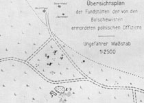 Схема расположения захоронений в Козьих Горах