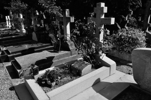 Скончался Василий Васильевич Зеньковский