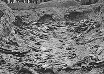 Массовое захоронение